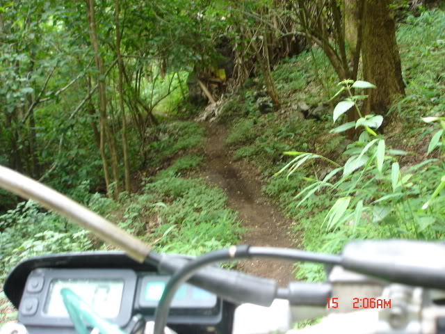 Name:  DSC05712.jpg
Views: 29
Size:  90.7 KB