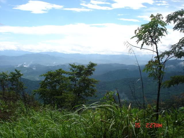 Name:  DSC05719.jpg
Views: 29
Size:  80.6 KB