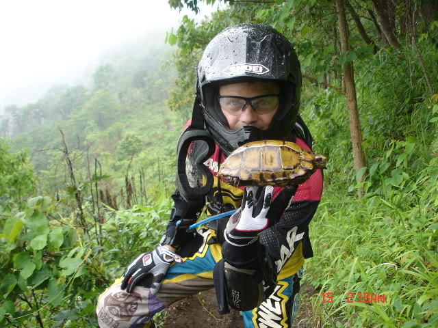 Name:  DSC05714.jpg
Views: 31
Size:  105.1 KB