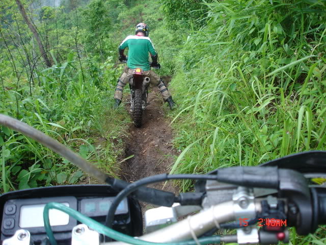 Name:  DSC05727.jpg
Views: 25
Size:  113.9 KB