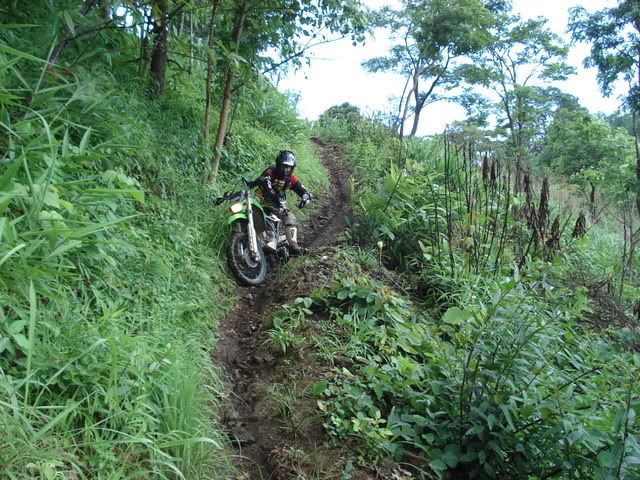 Name:  DSC01893.jpg
Views: 32
Size:  135.9 KB