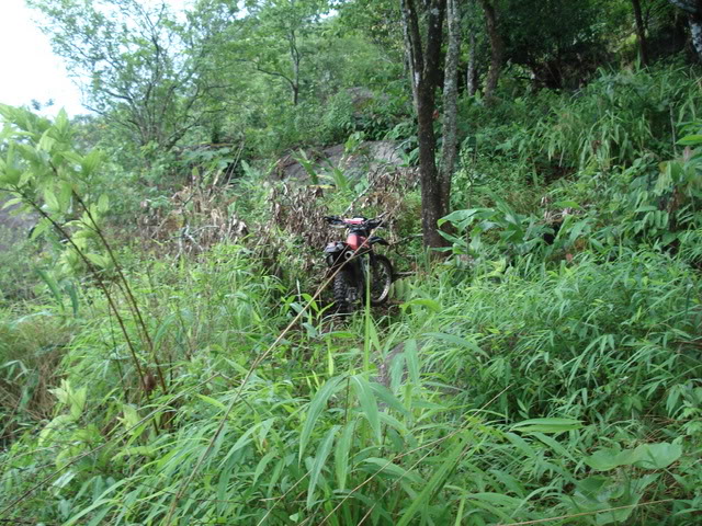 Name:  DSC01896.jpg
Views: 24
Size:  128.4 KB