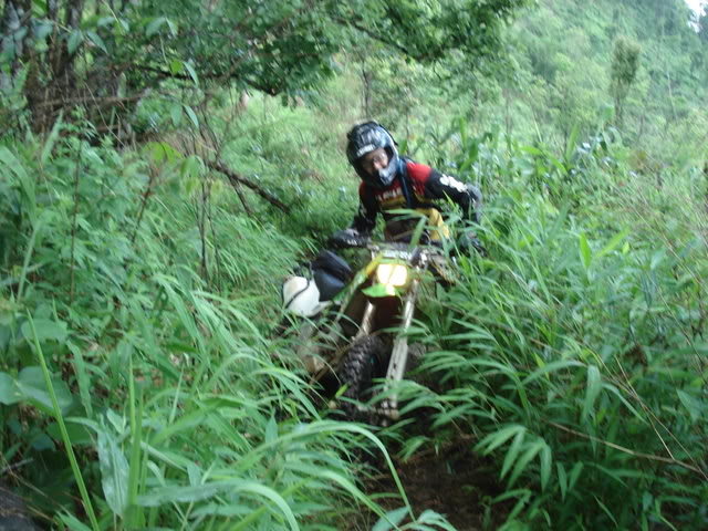 Name:  DSC01895.jpg
Views: 33
Size:  99.3 KB
