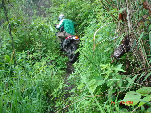 Name:  DSC05731.jpg
Views: 32
Size:  127.7 KB