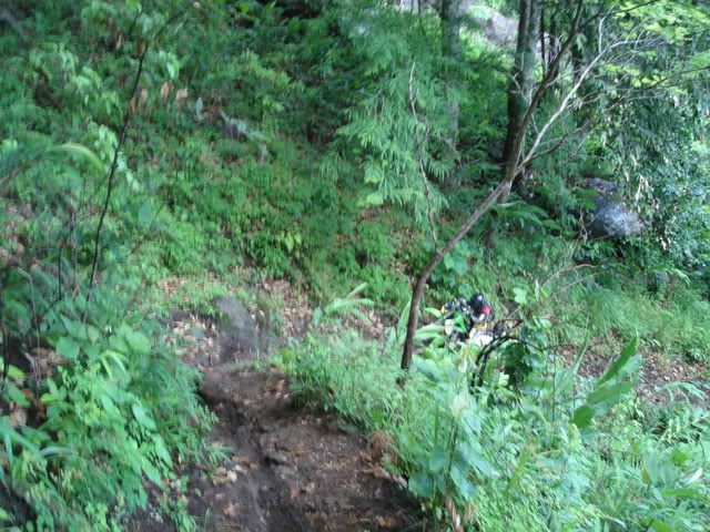 Name:  DSC01900.jpg
Views: 25
Size:  118.0 KB