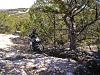 good fit?-solo-bronte-1.jpg