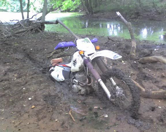 Name:  Jun03_0008.jpg
Views: 20
Size:  48.2 KB