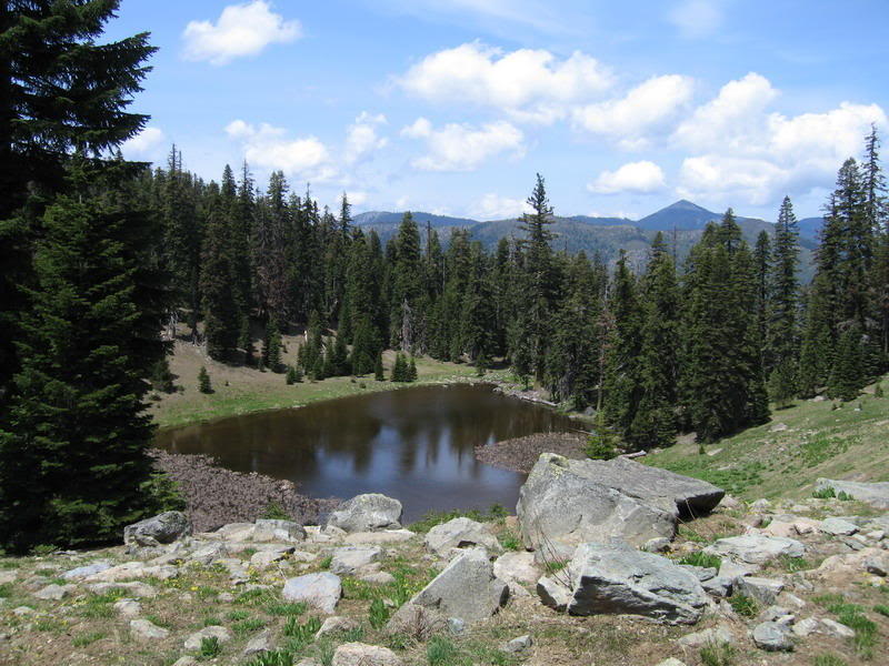 Name:  c4022.jpg
Views: 18
Size:  99.2 KB