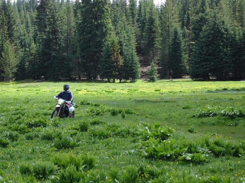 Name: trip1.jpg
Views: 24
Size: 117.3 KB