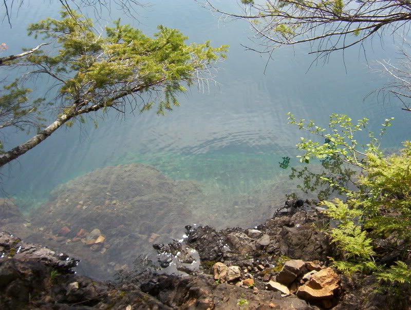 Name:  103_6122.jpg
Views: 54
Size:  131.0 KB