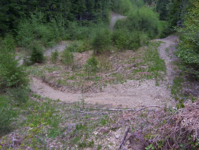 Name:  103_6145.jpg
Views: 47
Size:  143.1 KB