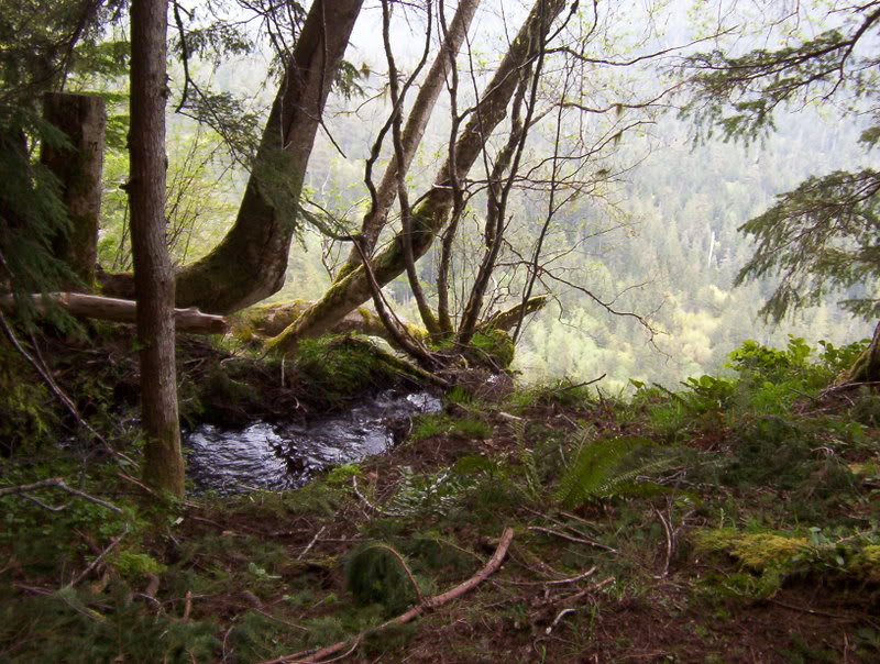 Name:  103_6157.jpg
Views: 50
Size:  141.1 KB