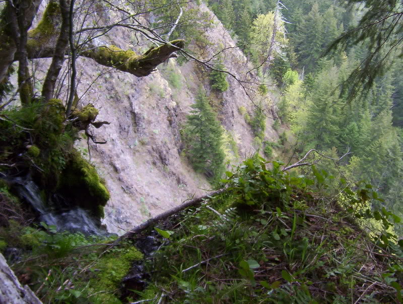 Name:  103_6162.jpg
Views: 40
Size:  147.2 KB