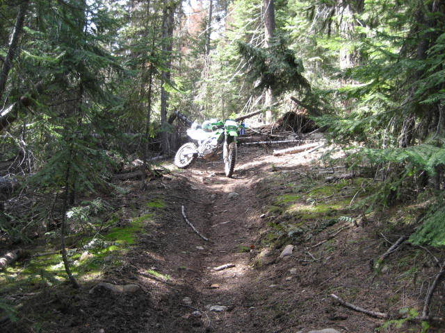 Name:  IMG_0094.jpg
Views: 17
Size:  87.2 KB