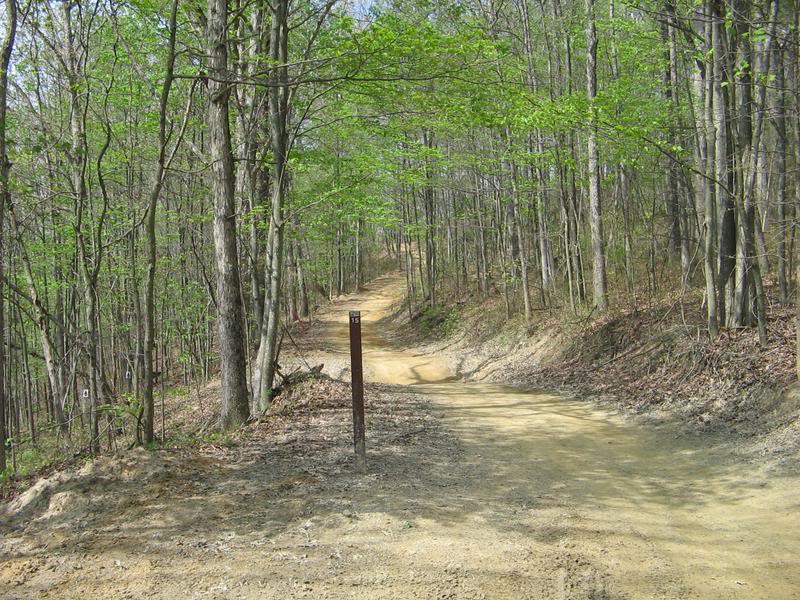 Name:  hatfieldmcoy050.jpg
Views: 300
Size:  143.5 KB