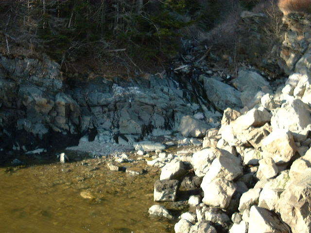 Name:  DSCF0002-3.jpg
Views: 60
Size:  56.4 KB