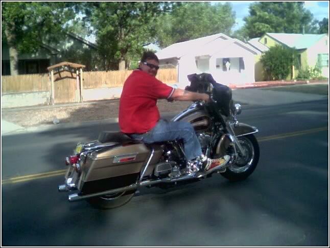 Name:  40.jpg
Views: 23
Size:  55.2 KB