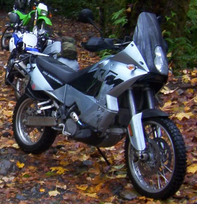 Name:  100_5849KTMcropped.jpg
Views: 24
Size:  97.9 KB