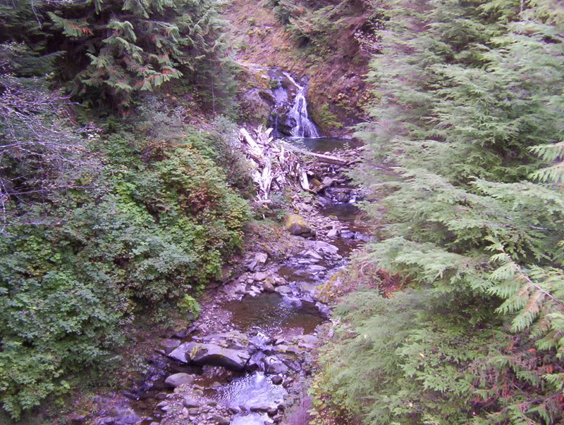 Name:  Picture_0317.jpg
Views: 38
Size:  168.9 KB