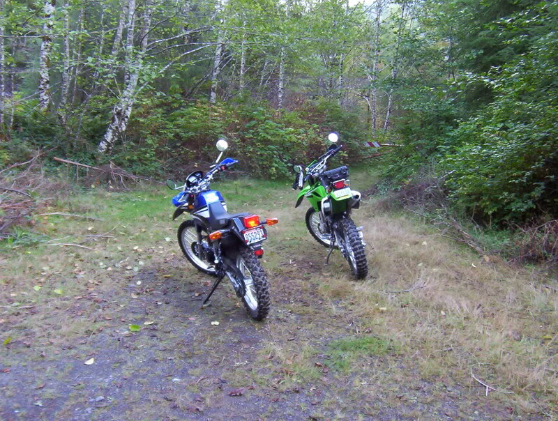 Name:  Picture_0326.jpg
Views: 40
Size:  162.1 KB