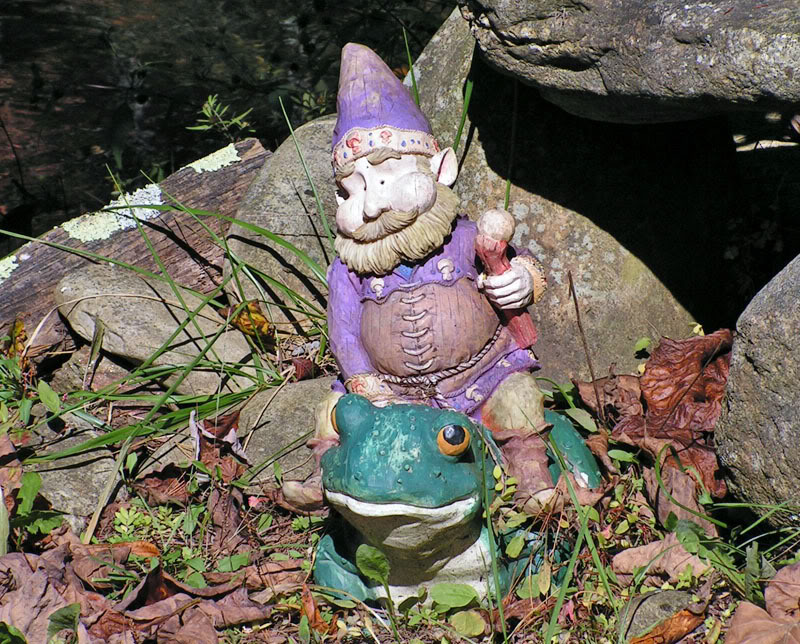 Name:  pisgahtroll.jpg
Views: 70
Size:  190.3 KB