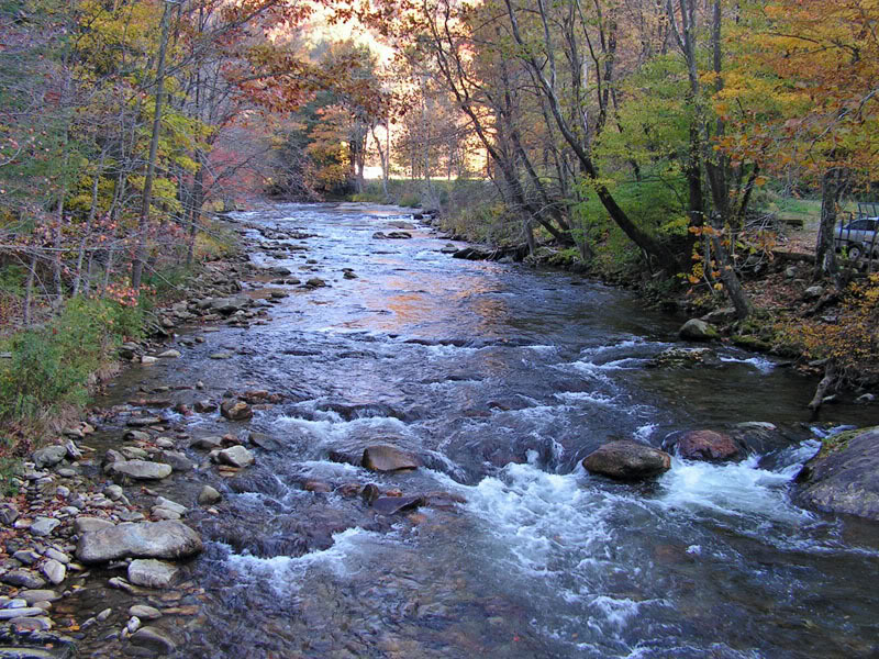 Name:  brmccreek2.jpg
Views: 36
Size:  190.0 KB