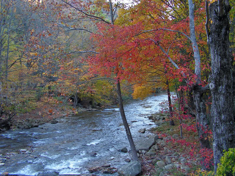Name:  brmccreek.jpg
Views: 81
Size:  197.6 KB