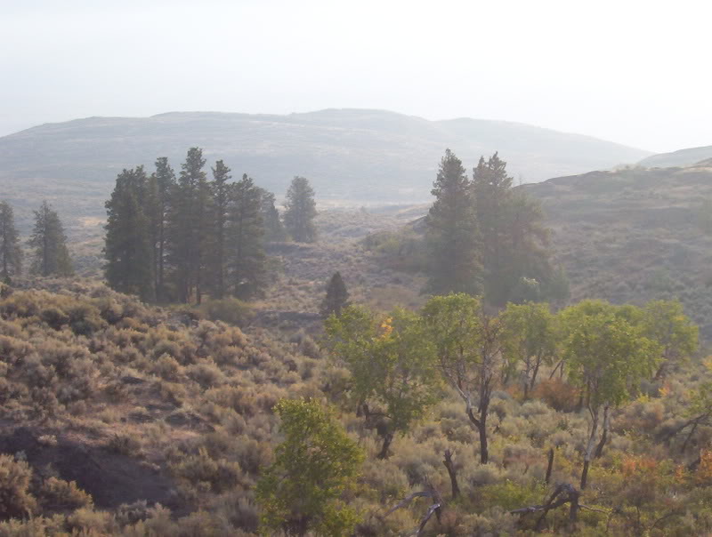 Name:  Picture_0386.jpg
Views: 27
Size:  71.2 KB