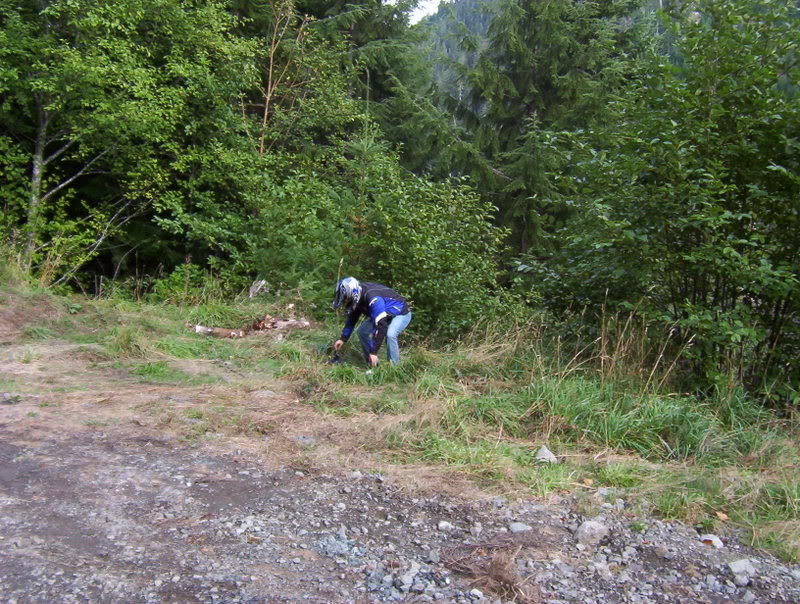 Name:  Picture_0325.jpg
Views: 72
Size:  162.3 KB