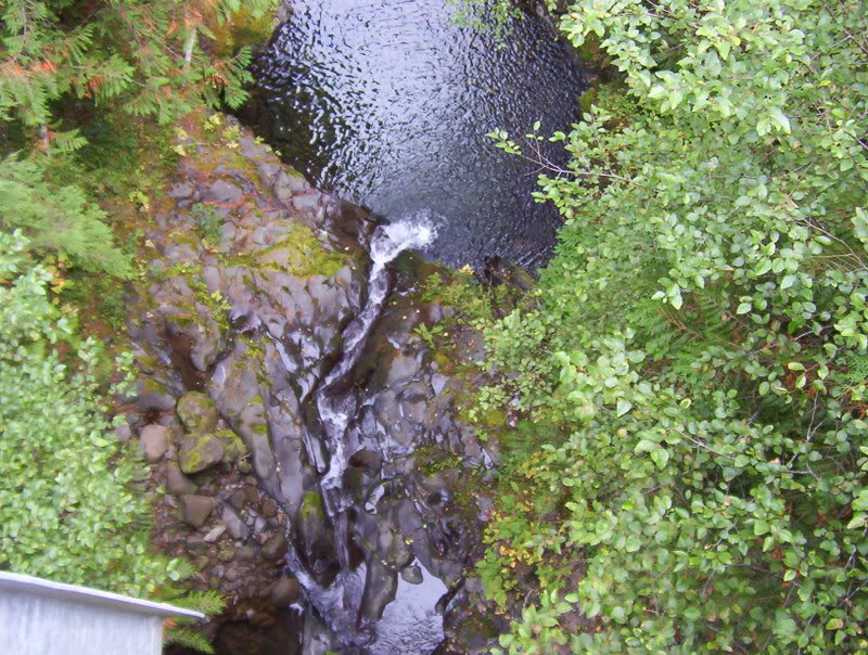 Name:  Picture_0318.jpg
Views: 35
Size:  162.3 KB