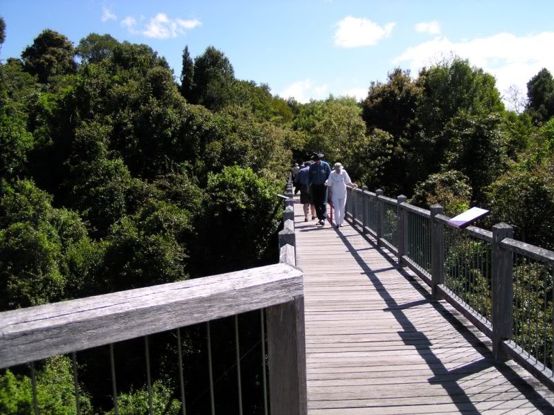 Name: skywalk.jpg
Views: 48
Size: 110.9 KB
