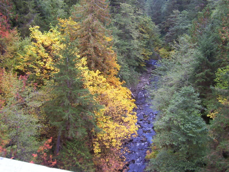 Name: Picture_0309.jpg
Views: 98
Size: 164.7 KB