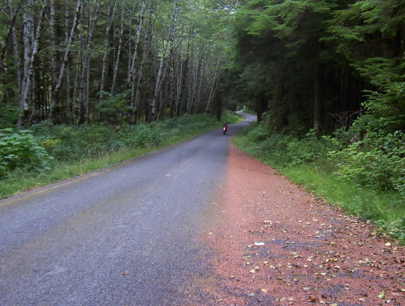 Name: Picture_0297.jpg
Views: 79
Size: 133.4 KB