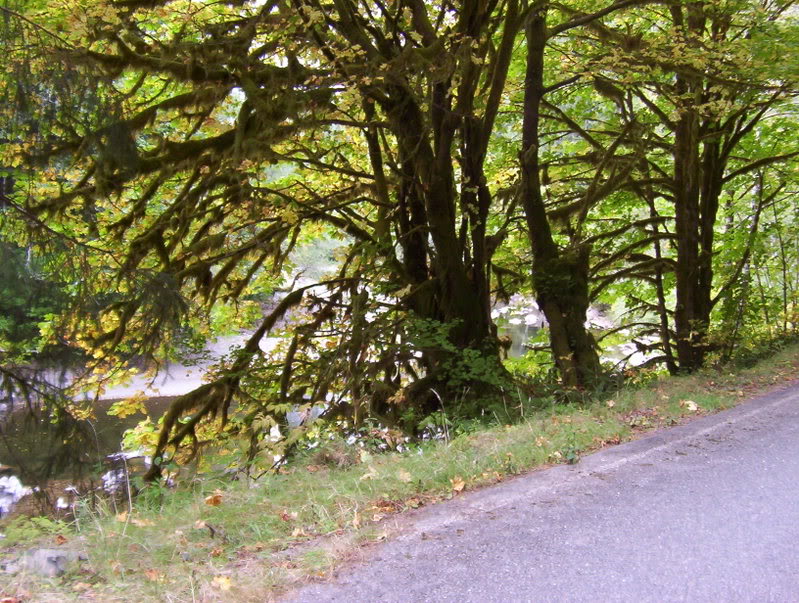 Name: Picture_0289.jpg
Views: 80
Size: 162.3 KB