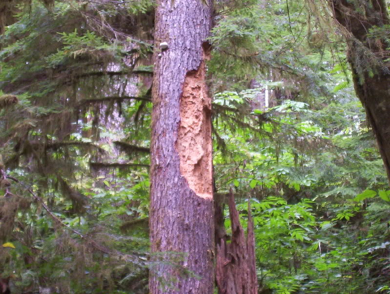 Name: Picture_0290.jpg
Views: 34
Size: 143.9 KB