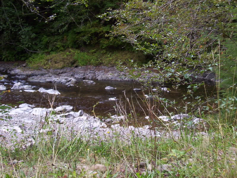 Name: Picture_0286.jpg
Views: 42
Size: 163.1 KB