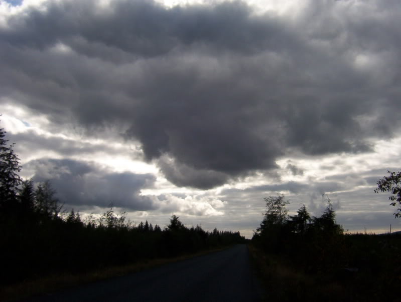 Name: Picture_0280.jpg
Views: 96
Size: 40.4 KB