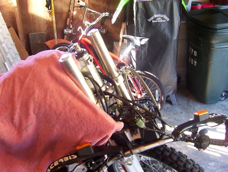 Name:  Picture_0260.jpg
Views: 64
Size:  117.8 KB