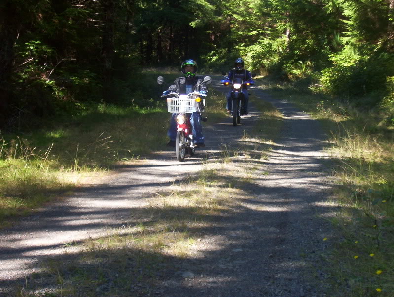 Name:  Picture_0166.jpg
Views: 21
Size:  127.3 KB
