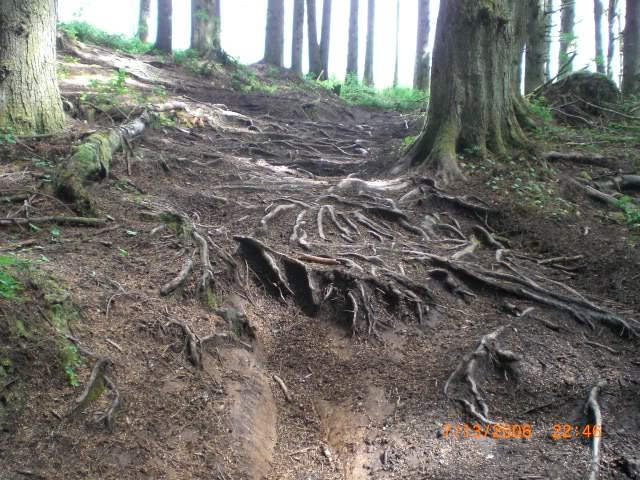 Name:  CIMG0305.jpg
Views: 25
Size:  148.5 KB