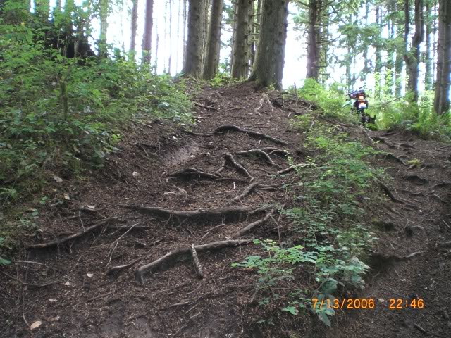 Name:  CIMG0307.jpg
Views: 25
Size:  147.7 KB