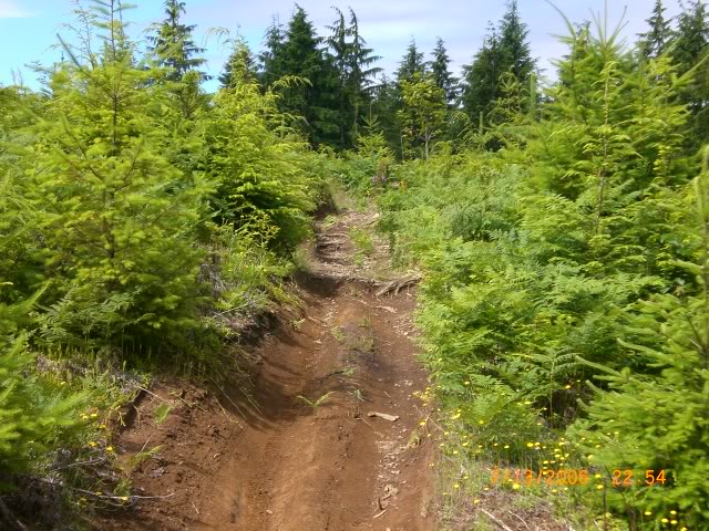 Name:  CIMG0308.jpg
Views: 22
Size:  153.3 KB