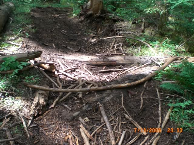 Name:  CIMG0317.jpg
Views: 24
Size:  142.3 KB