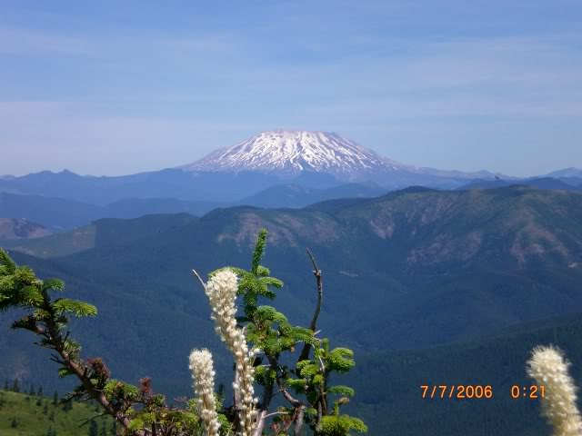 Name: CIMG0217.jpg
Views: 31
Size: 65.9 KB