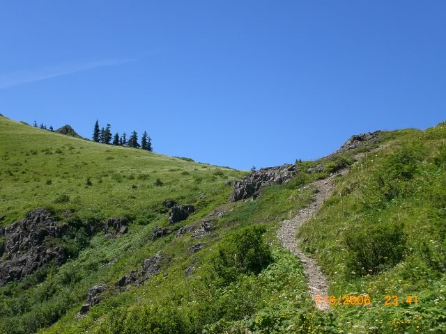 Name: CIMG0186.jpg
Views: 29
Size: 111.6 KB