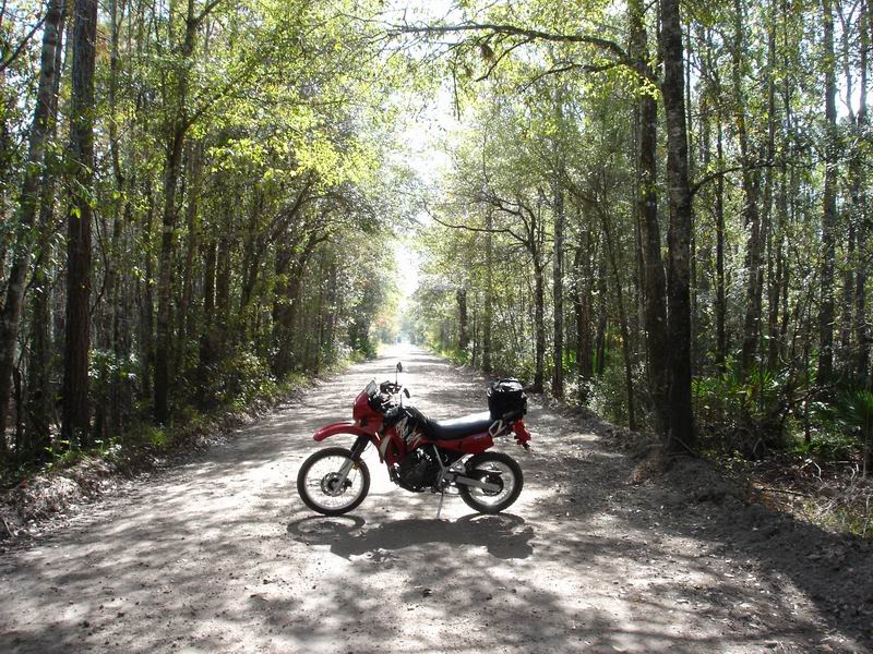 Name:  ResizeofOldBrickRoad003.jpg
Views: 30
Size:  164.9 KB