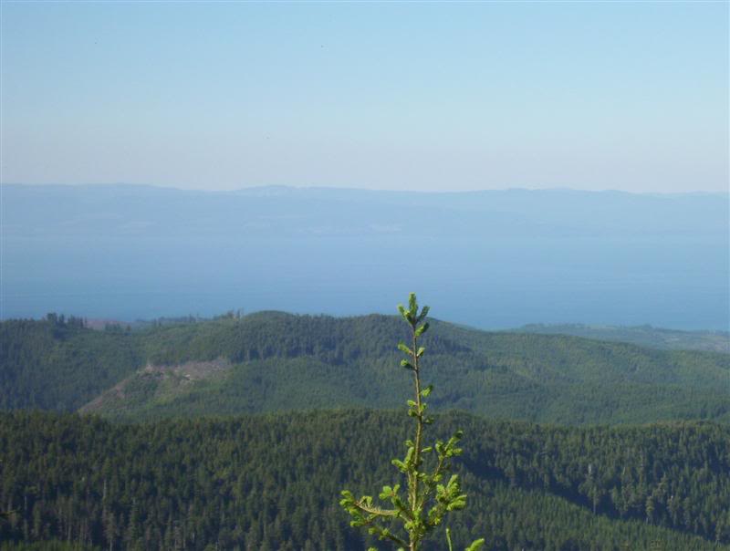 Name:  100_5346Medium.jpg
Views: 40
Size:  35.6 KB