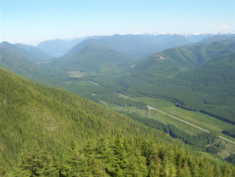 Name:  100_5333Medium.jpg
Views: 48
Size:  70.6 KB