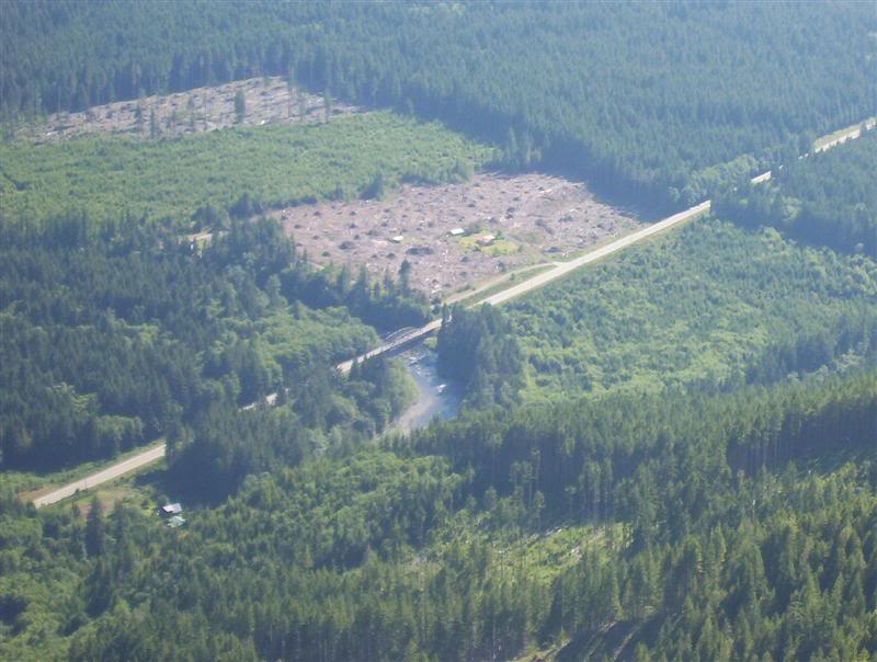 Name:  100_5334Medium.jpg
Views: 30
Size:  72.4 KB