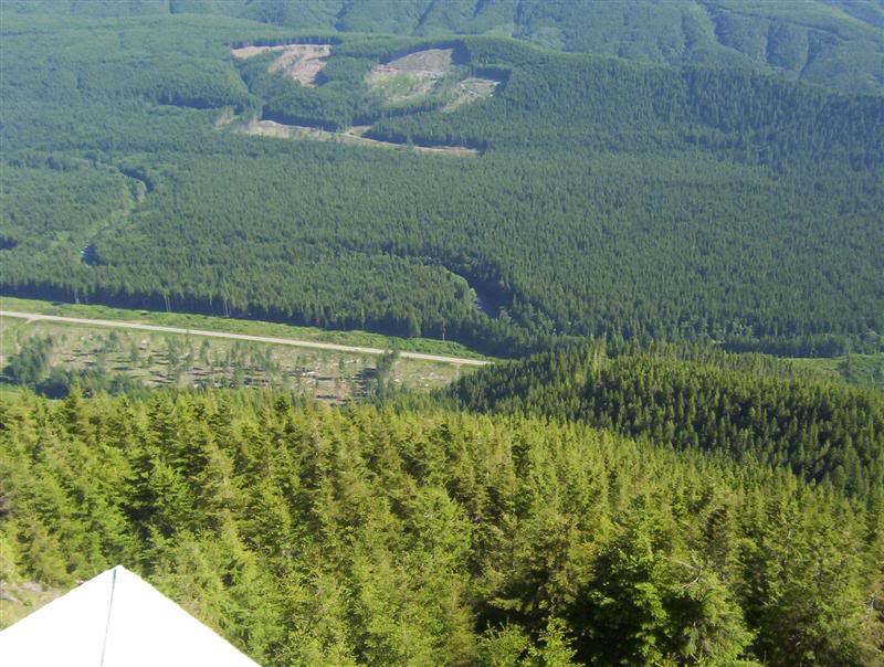 Name:  100_5332Medium.jpg
Views: 60
Size:  101.7 KB